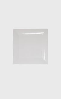 PORCELAIN 10 INCH SQUARE PLATE