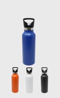 MINI INSULATED WATER BOTTLES